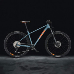 Bicicleta KTM Ultra Sport 29er